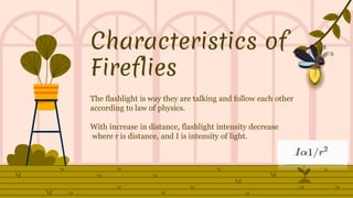 Characteristics of
Fireflies
The flashlight is way they are talking and follow each other
according to law of physics.
With increase in distance, flashlight intensity decrease
where r is distance, and I is intensity of light.
 