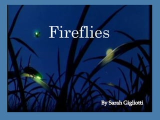 Fireflies Fireflies By Sarah Gigliotti 