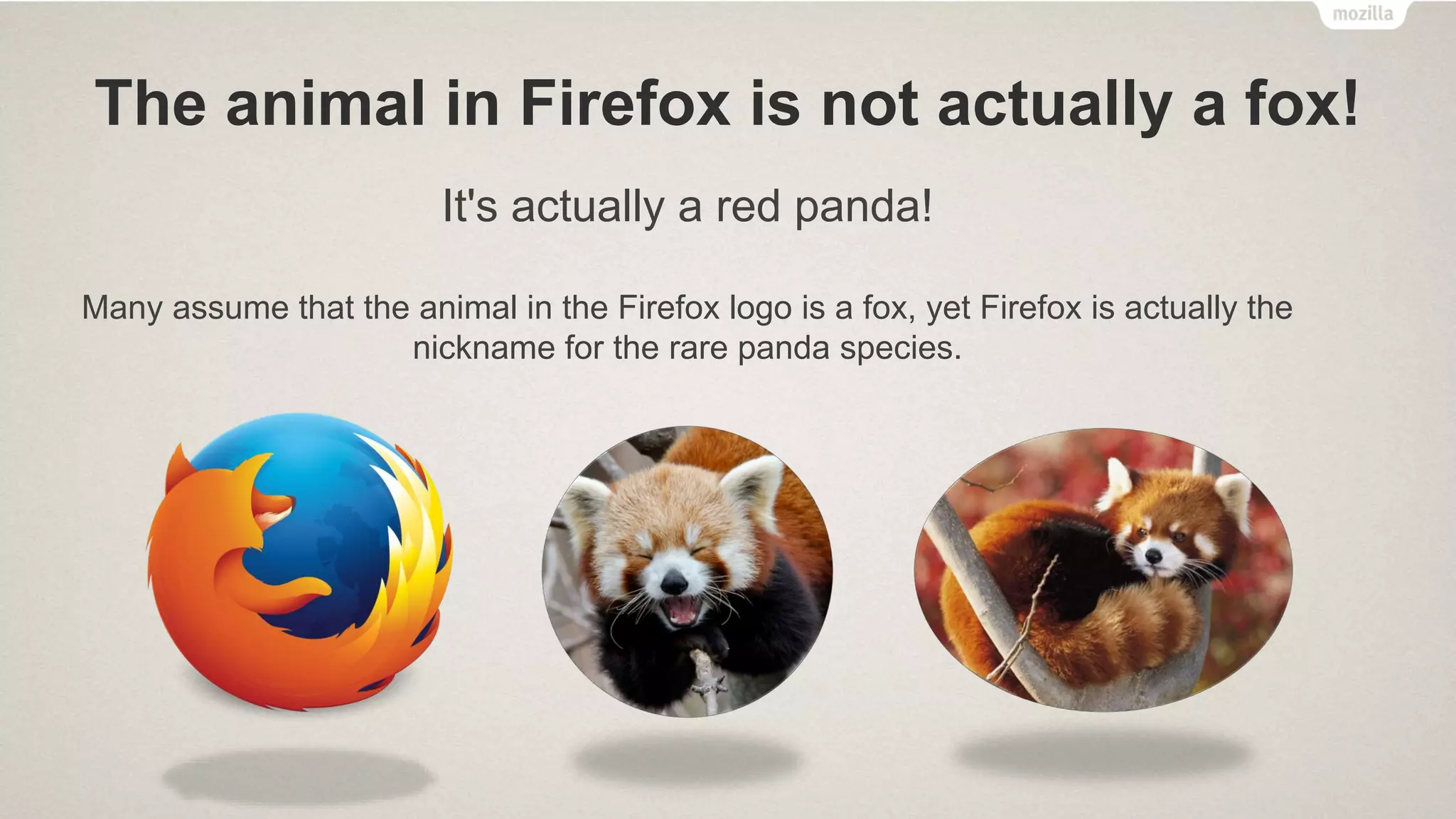 The animal in Firefox is not actually a fox!
It's actually a red panda!
Many assume that the animal in the Firefox logo is a fox, yet Firefox is actually the
nickname for the rare panda species.
 
