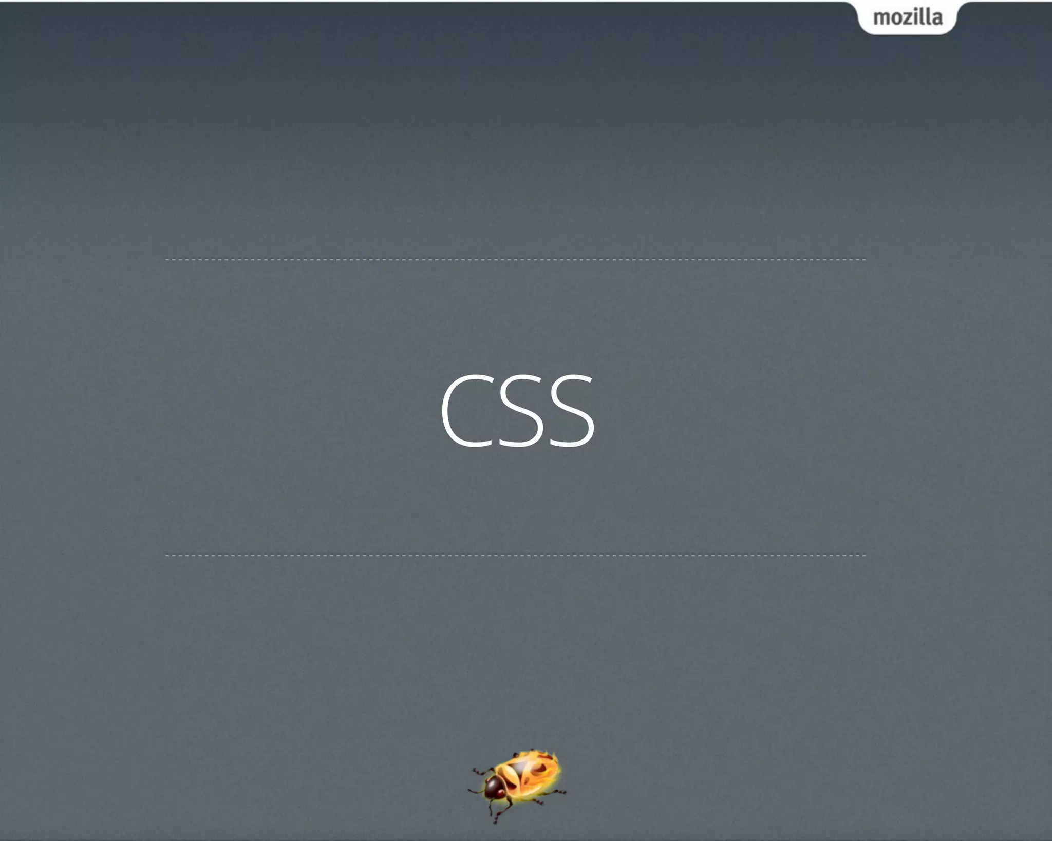 CSS
 