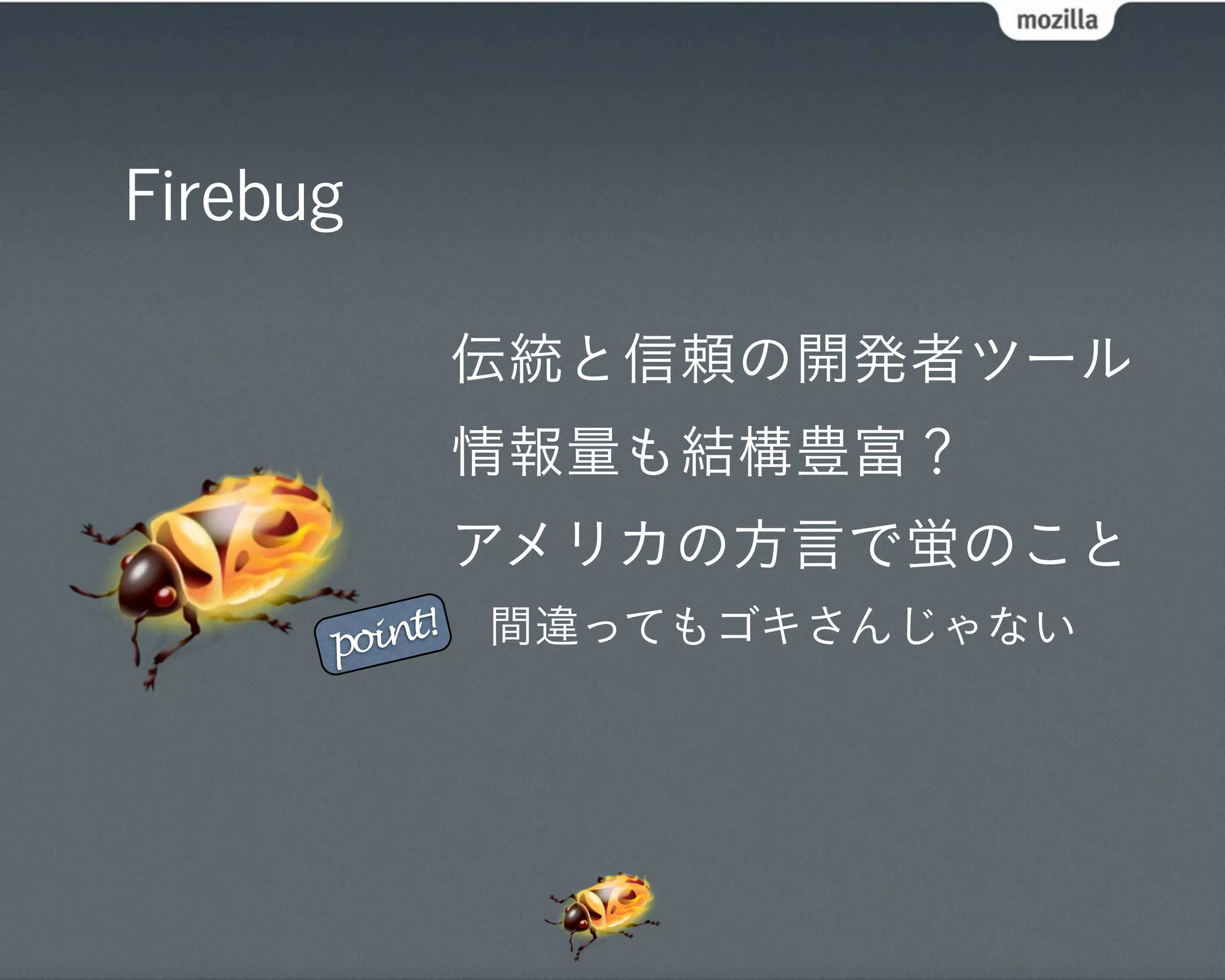 Firebug

               伝統と信頼の開発者ツール
               情報量も結構豊富？
               アメリカの方言で蛍のこと
      point!   間違ってもゴキさんじゃない
 