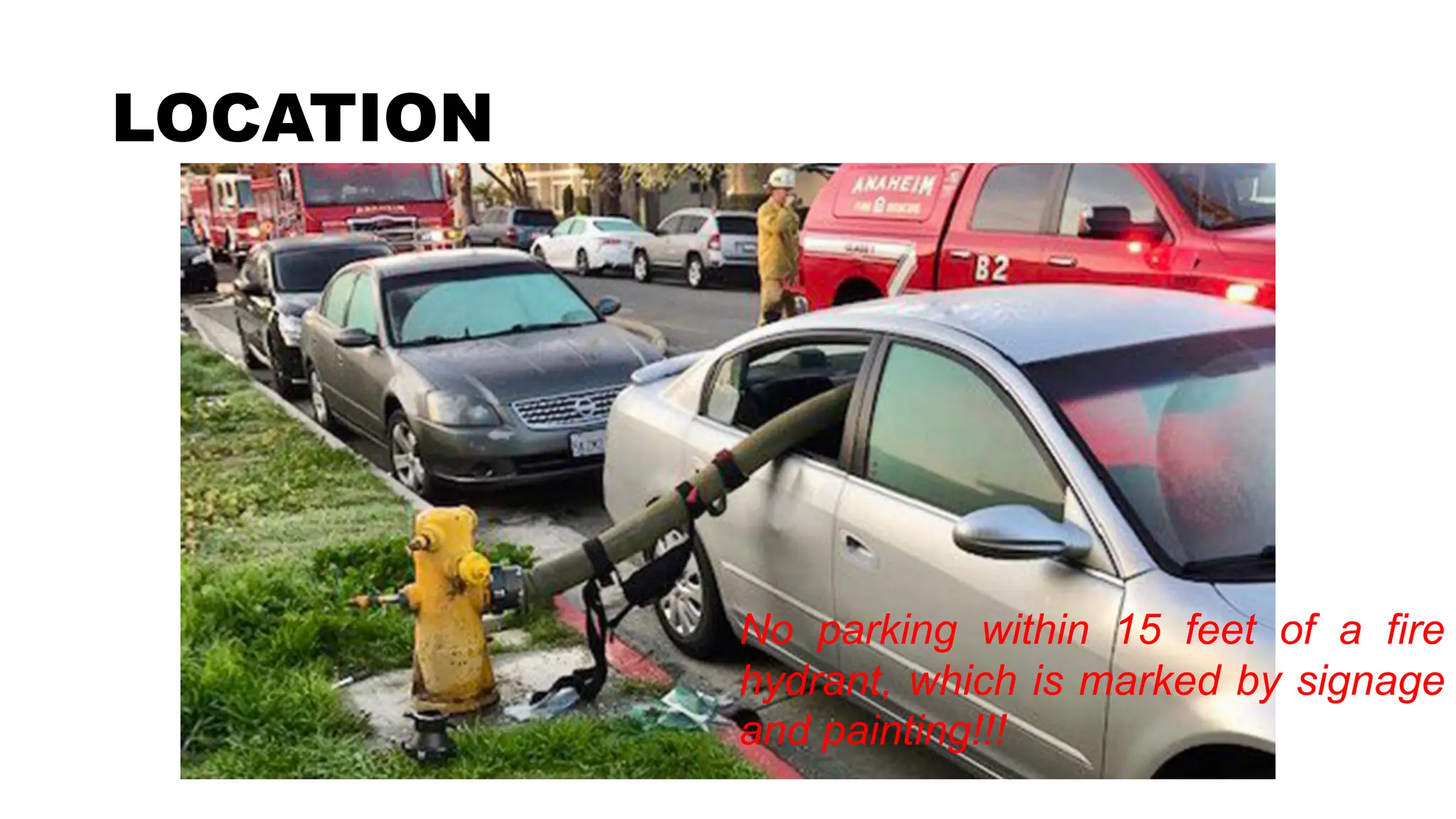LOCATION
No parking within 15 feet of a fire
hydrant, which is marked by signage
and painting!!!
 