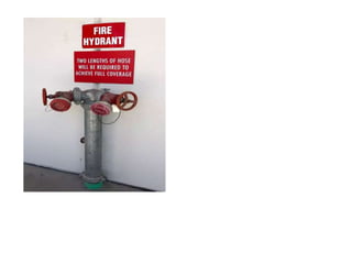 fire hydrant system .pptx