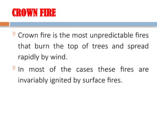 Fire Injuries.pptx SAF 313 Forest protection.pptx