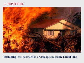 • BUSH FIRE:
Excluding loss, destruction or damage caused by Forest Fire
 