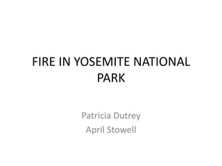 FIRE IN YOSEMITE NATIONAL
           PARK

       Patricia Dutrey
        April Stowell
 