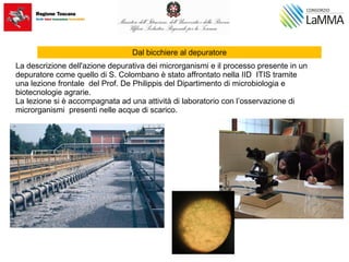 Dal bicchiere al depuratore
La descrizione dell'azione depurativa dei microrganismi e il processo presente in un
depuratore come quello di S. Colombano è stato affrontato nella IID ITIS tramite
una lezione frontale del Prof. De Philippis del Dipartimento di microbiologia e
biotecnologie agrarie.
La lezione si è accompagnata ad una attività di laboratorio con l’osservazione di
microrganismi presenti nelle acque di scarico.
 