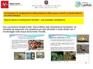 Conosciamo le caratteristiche dell'ecosistema delle acque correnti :la biodiversità di
un corso d'acqua
Con una lezione frontale il Dott. Gianni Bettini dell’ Associazione Symbiosis ha
introdotto gli argomenti che sarebbero poi stati affrontati in modo diretto con il
monitoraggio sulle acque del torrente Terzolle.
Specie aliene e cambiamenti climatici : una possibile correlazione
 