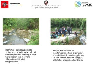 Il torrente Terzolle a Serpiolle
Le rive sono solo in parte naturali,
ma sono presenti comunque molti
micro-habitat che mostrano
differenti condizioni di
ossigenazione
Arrivati alla stazione di
monitoraggio si deve organizzare
la postazione di monitoraggio con
il materiale necessario. Vengono
fatte foto e disegni dell’ambiente
 
