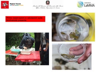 Prime osservazioni e valutazioni sulla
biodiversità presente
 