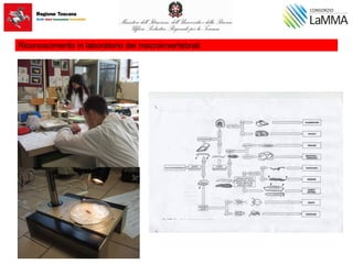 Riconoscimento in laboratorio dei macroinvertebrati
 