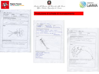 Produzione di schede di riconoscimento
 