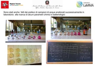 Sono stati anche fatti dei prelievi di campioni di acqua analizzati successivamente in
laboratorio alla ricerca di alcuni parametri chimici e batteriologici
 