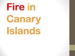 Fire in
Canary
Islands
 