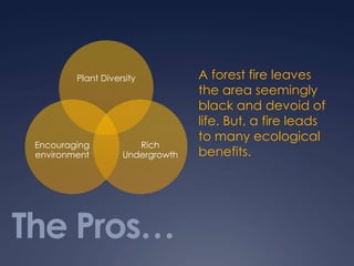The Pros…A forest fire leaves the area seemingly black and devoid of life. But, a fire leads to many ecological benefits.