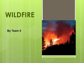 WILDFIRE

By Team 4
 