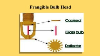Frangible Bulb Head
 