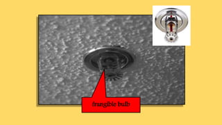 frangible bulb
 