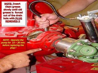 NOTE:
NOTE: Insert
Insert
clean grease
clean grease
slowly until old
slowly until old
grease is forced
grease is forced
out of the drain
out of the drain
hole with
hole with PLUG
PLUG
REMOVED !!
REMOVED !!
NOTE : Operate the
NOTE : Operate the
pump for 15 – 30 min.
pump for 15 – 30 min.
before replacing the
before replacing the
plug !
plug !
 