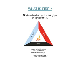 Fire is a chemical reaction that gives
off light and heat.
WHAT IS FIRE ?
FIRE TRIANGLE
Oxygen- what it breathes
Fuel – what it eats
Heat- what it produces
 