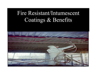 Fire Resistant/Intumescent
Coatings & Benefits
 