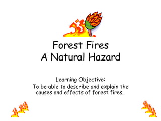 Forest Fires A Natural Hazard Learning Objective: To be able to describe and explain the causes and effects of forest fires.  