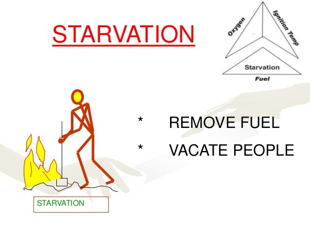 Fire Safety fire-safety