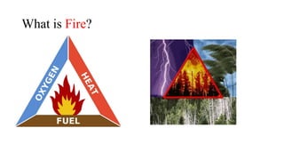 What is Fire?
 