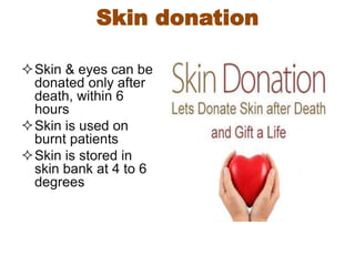 Skin & eyes can be
donated only after
death, within 6
hours
Skin is used on
burnt patients
Skin is stored in
skin bank at 4 to 6
degrees
Skin donation
 