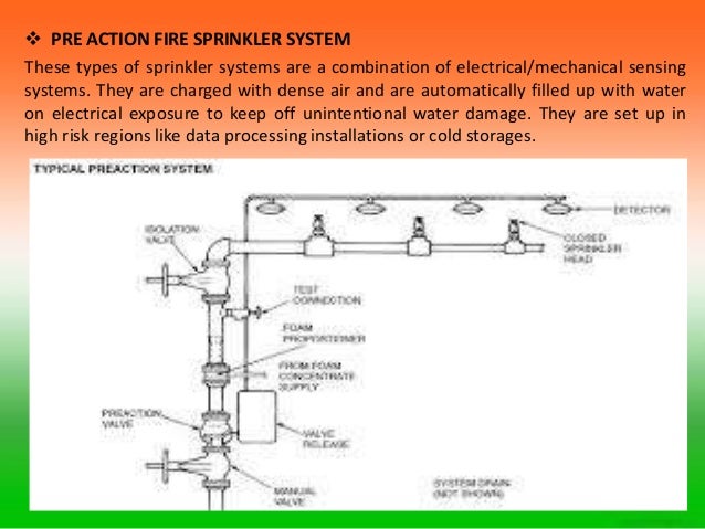 Fire sprinkler essay