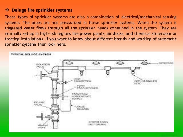 Fire sprinkler essay