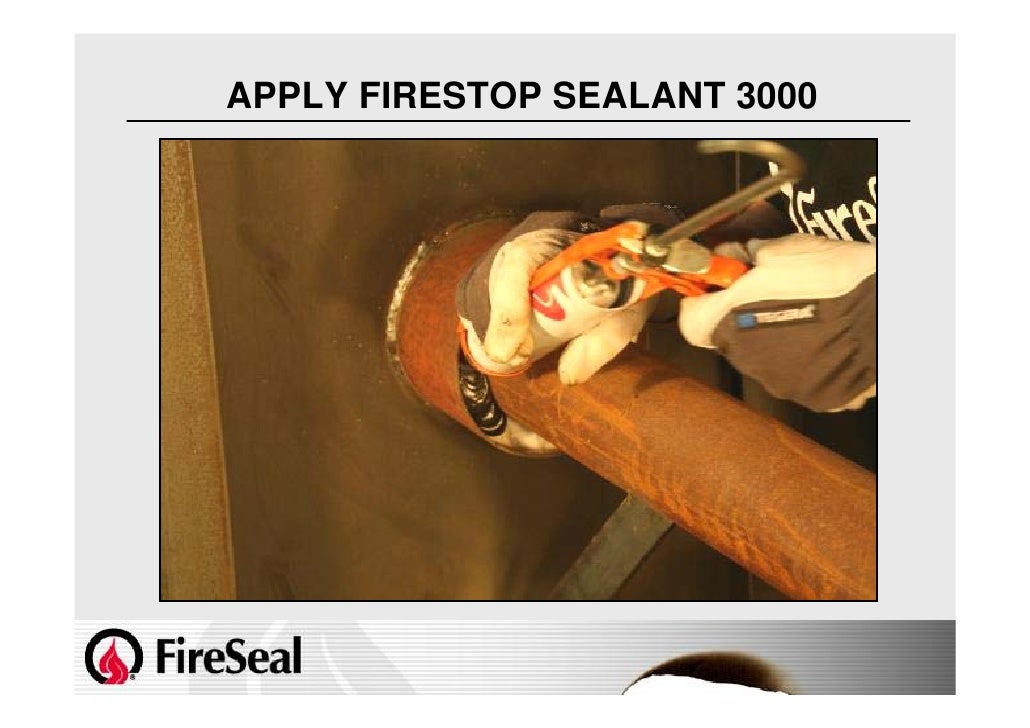 Fire Seal Full Presentation
