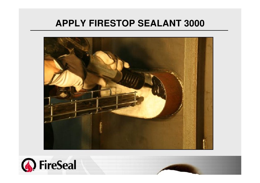 Fire Seal Full Presentation