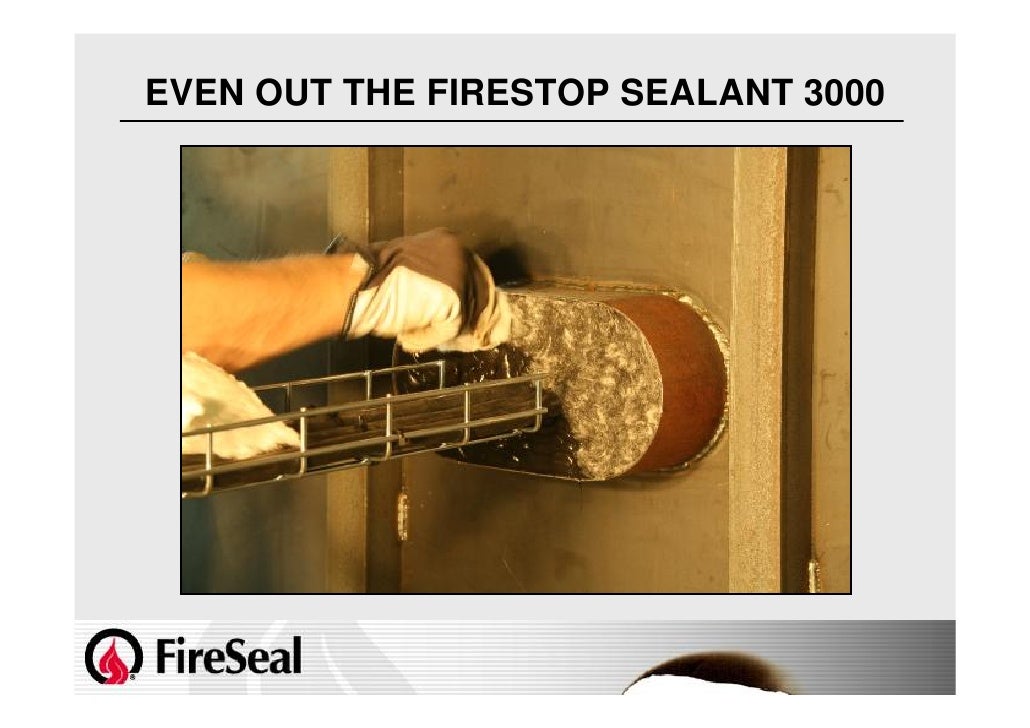 Fire Seal Full Presentation