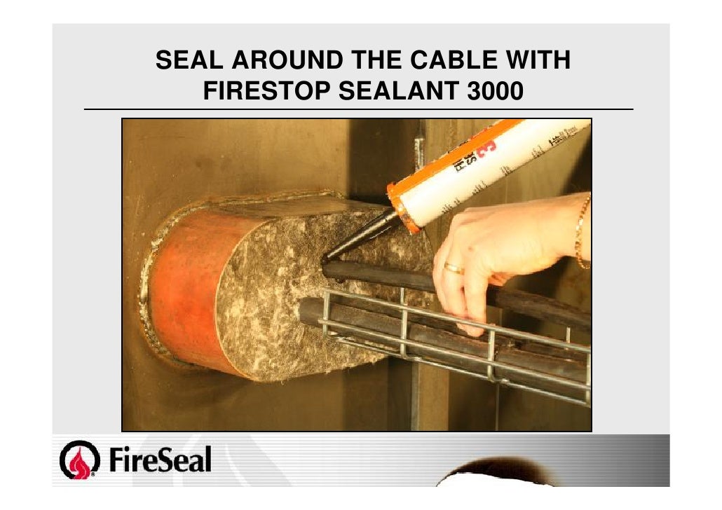 Fire Seal Full Presentation