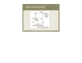 ORGANIZATION
 