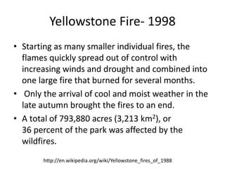 Yellowstone Fire- 1998 
• Starting as many smaller individual fires, the 
flames quickly spread out of control with 
increasing winds and drought and combined into 
one large fire that burned for several months. 
• Only the arrival of cool and moist weather in the 
late autumn brought the fires to an end. 
• A total of 793,880 acres (3,213 km2), or 
36 percent of the park was affected by the 
wildfires. 
http://en.wikipedia.org/wiki/Yellowstone_fires_of_1988 
 