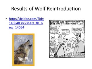 Results of Wolf Reintroduction 
• http://sfglobe.com/?id= 
14064&src=share_fb_n 
ew_14064 
 