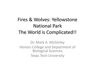 Fires & Wolves: Yellowstone 
National Park 
The World is Complicated!! 
Dr. Mark A. McGinley 
Honors College and Department of 
Biological Sciences 
Texas Tech University 
 