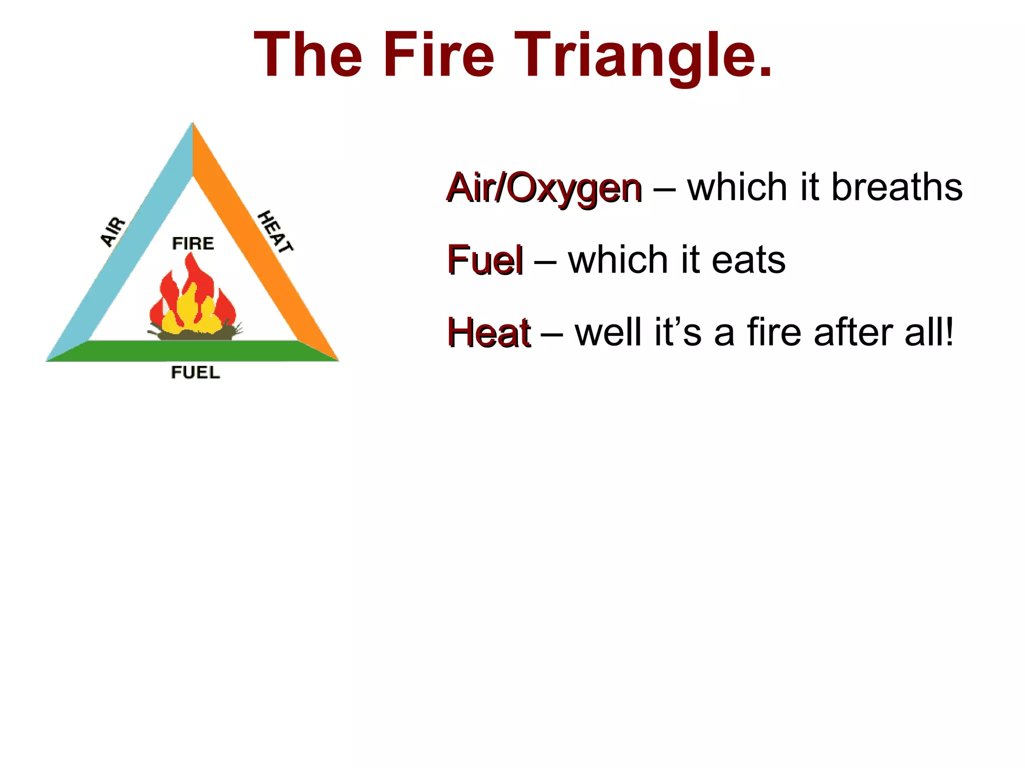 The Fire Triangle.
Air/OxygenAir/Oxygen – which it breaths
FuelFuel – which it eats
HeatHeat – well it’s a fire after all!
 