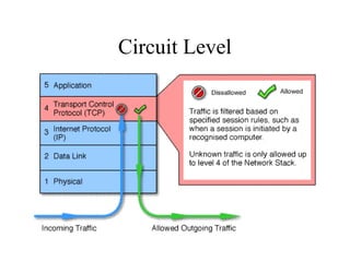 Circuit Level
 