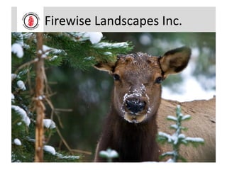 Firewise Landscapes Inc.
 