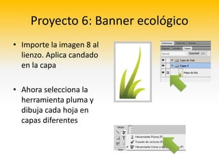 Proyecto 6: Banner ecológico
• Importe la imagen 8 al
  lienzo. Aplica candado
  en la capa

• Ahora selecciona la
  herramienta pluma y
  dibuja cada hoja en
  capas diferentes
 