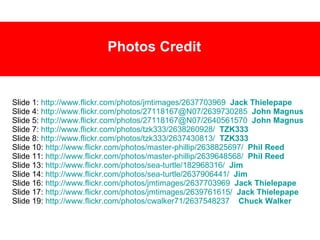 Photos Credit Slide 1:  http://www.flickr.com/photos/jmtimages/2637703969   Jack  Thielepape Slide 4:  http://www.flickr.com/photos/27118167@N07/2639730285   John Magnus Slide 5:  http://www.flickr.com/photos/27118167@N07/2640561570   John Magnus Slide 7:  http://www.flickr.com/photos/tzk333/2638260928/   TZK333 Slide 8:  http://www.flickr.com/photos/tzk333/2637430813/   TZK333 Slide 10:  http://www.flickr.com/photos/master-phillip/2638825697/   Phil Reed Slide 11:  http://www.flickr.com/photos/master-phillip/2639648568/   Phil Reed Slide 13:  http://www.flickr.com/photos/sea-turtle/182968316/   Jim Slide 14:  http://www.flickr.com/photos/sea-turtle/2637906441/   Jim Slide 16:  http://www.flickr.com/photos/jmtimages/2637703969   Jack  Thielepape Slide 17:  http://www.flickr.com/photos/jmtimages/2639761615/   Jack  Thielepape Slide 19:  http://www.flickr.com/photos/cwalker71/2637548237   Chuck Walker 