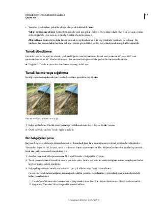 30FIREWORKS CS5 UYGULAMASINI KULLANMA
Çalışma alanı
Son güncelleme 12/5/2010
• Yeniden örneklerken, pikseller ekleyebilir ya da kaldırabilirsiniz:
Yukarı yeniden örnekleme Görüntüyü genişletmek için piksel ekleyin. Bu yaklaşım kalite kaybına yol açar, çünkü
eklenen pikseller her zaman orijinal görüntüye karşılık gelmez.
Altörnekleme Görüntüyü daha küçük yapmak için pikselleri kaldırır ve görüntüde veri kaybına yol açar. Bu
yaklaşım her zaman kalite kaybına yol açar, çünkü görüntüyü yeniden boyutlandırmak için pikseller çıkartılır.
Tuvali döndürme
Görüntü tepe üstü veya yan olarak içe aktarıldığında tuvali döndürün. Tuvali saat yönünde 90° veya 180°, saat
yönünün tersine ise 90° döndürebilirsiniz. Tuvali döndürdüğünüzde belgedeki bütün nesneler döner.
❖ Değiştir > Tuval'i seçin ve bir döndürme seçeneği belirleyin.
Tuvali kesme veya sığdırma
İçerdiği nesneleri sığdırmak için tuvalin boyutunu genişletin veya kesin.
Orijinal tuval (sol); kesilmiş tuval (sağ)
1 Belge özelliklerini Özellik denetçisinde görüntülemek için Seç > Seçimi Kaldır’ı seçin.
2 Özellik denetçisindeki Tuvali Sığdır’ı tıklatın.
Bir belgeyi kırpma
Kırpma, belgenin istenmeyen kısımlarını siler. Tanımladığınız bir alana sığması için tuval yeniden boyutlandırılır.
Varsayılan değer olarak, kırpma, tuval sınırlarının dışına taşan nesneleri siler. Kırpmadan önce bir tercihi değiştirerek,
tuval dışındaki nesneleri koruyabilirsiniz.
1 Araçlar panelinden Kırpma aracını veya Düzenle > Belgeyi Kırp’ı seçin
2 Tuval üzerinde sürükleyerek bir sınırlayıcı kutu çizin. Sınırlayıcı kutu tutmak istediğiniz alanını çevreleyene kadar
kırpma tutamaçlarını ayarlayın.
3 Belgeyi kırpmak için sınırlayıcı kutunun içini çift tıklatın veya Enter tuşuna basın.
Fireworks, tuvali tanımladığınız alana sığacak şekilde yeniden boyutlandırır ve tuvalin kenarlarının ötesindeki
kalan nesneleri siler.
Tuval dışındaki nesneleri korumak için, Kırpmadan önce Tercihler iletişim kutusunun Düzenle sekmesindeki
Kırparken Nesneleri Sil seçeneğindeki işareti kaldırın.
 