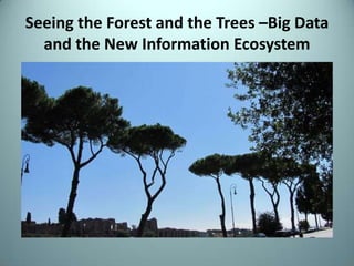 Seeing the Forest and the Trees –Big Data
and the New Information Ecosystem
 