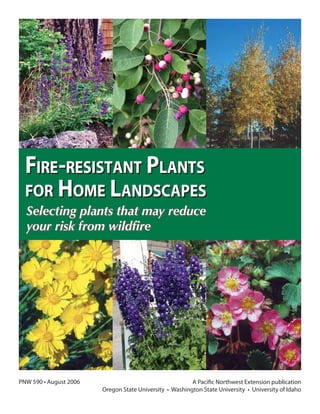 FIRE-RESISTANT PLANTS
FOR HOME LANDSCAPES
PNW 590 • August 2006
Selecting plants that may reduce
your risk from wildﬁre
FIRE-RESISTANT PLANTS
FOR HOME LANDSCAPES
A Pacific Northwest Extension publication
Oregon State University • Washington State University • University of Idaho
 