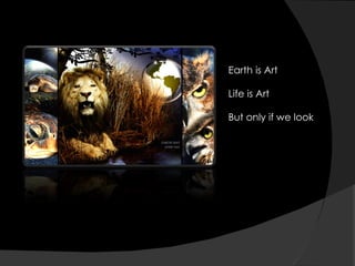 Earth is Art Life is Art But only if we look 