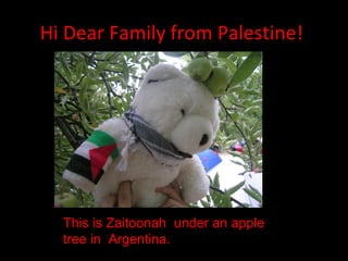 Hi Dear Family from Palestine!  This is Zaitoonah  under an apple tree in  Argentina. 