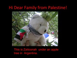 Hi Dear Family from Palestine!
This is Zaitoonah under an apple
tree in Argentina.